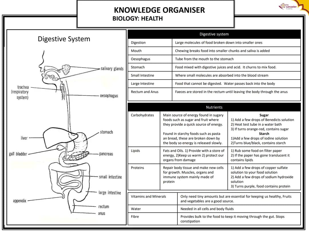 KNOWLEDGE ORGANISER BIOLOGY: HEALTH 