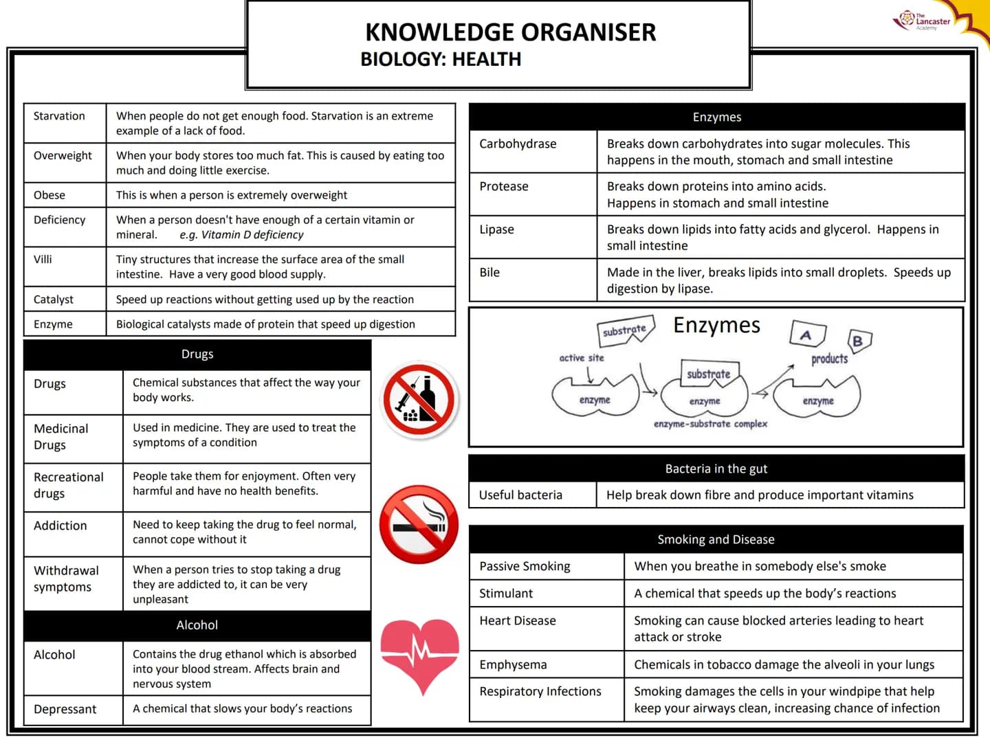 trachea
(respiratory
system)
liver
gall bladder
appendix
Digestive System
salivary glands
KNOWLEDGE ORGANISER
BIOLOGY: HEALTH
oesophagus
sto