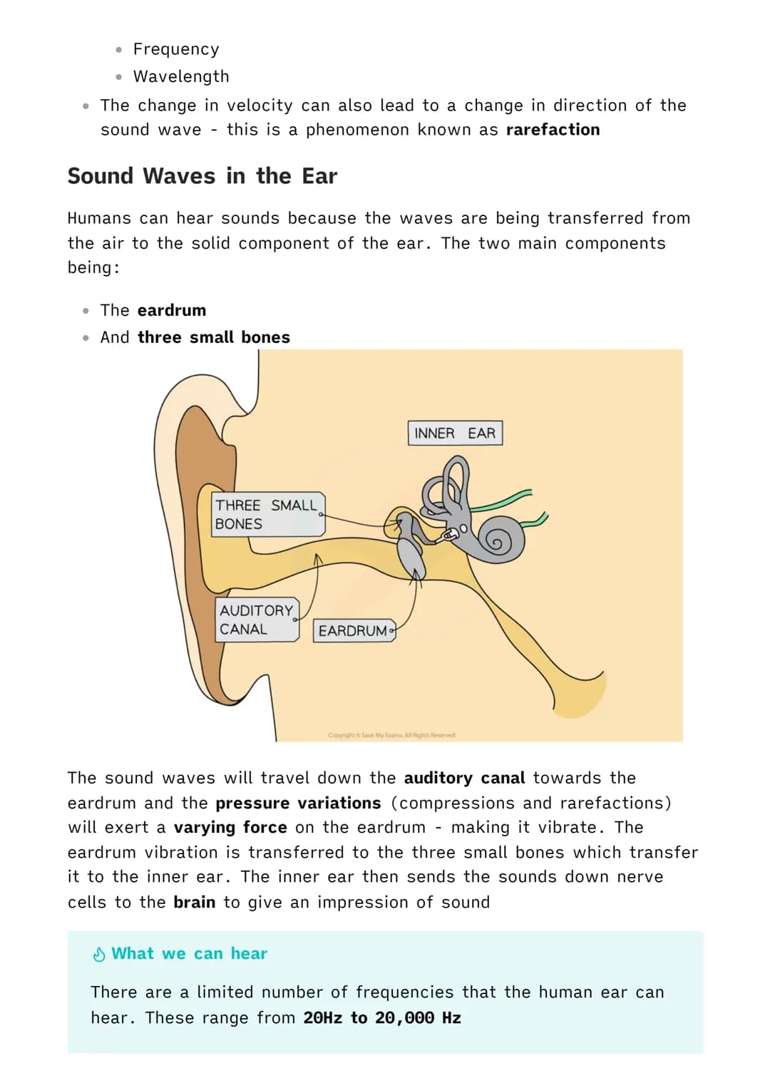 1.6.1 Waves in Air, Fluids and Solids
| Physics MOC
Transverse and Longitudinal Waves
Waves are repeated vibrations that transfer energy. Al