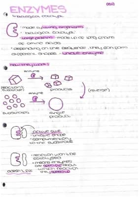 Know enzymes thumbnail