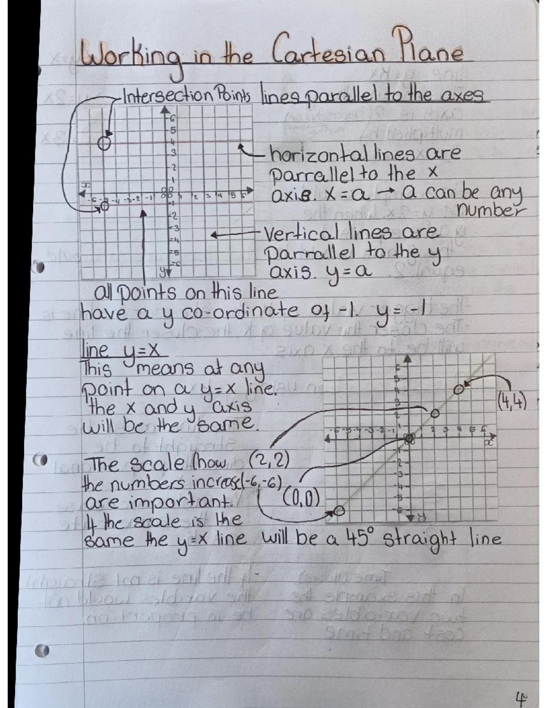 Mastering Graphs in the Cartesian Plane