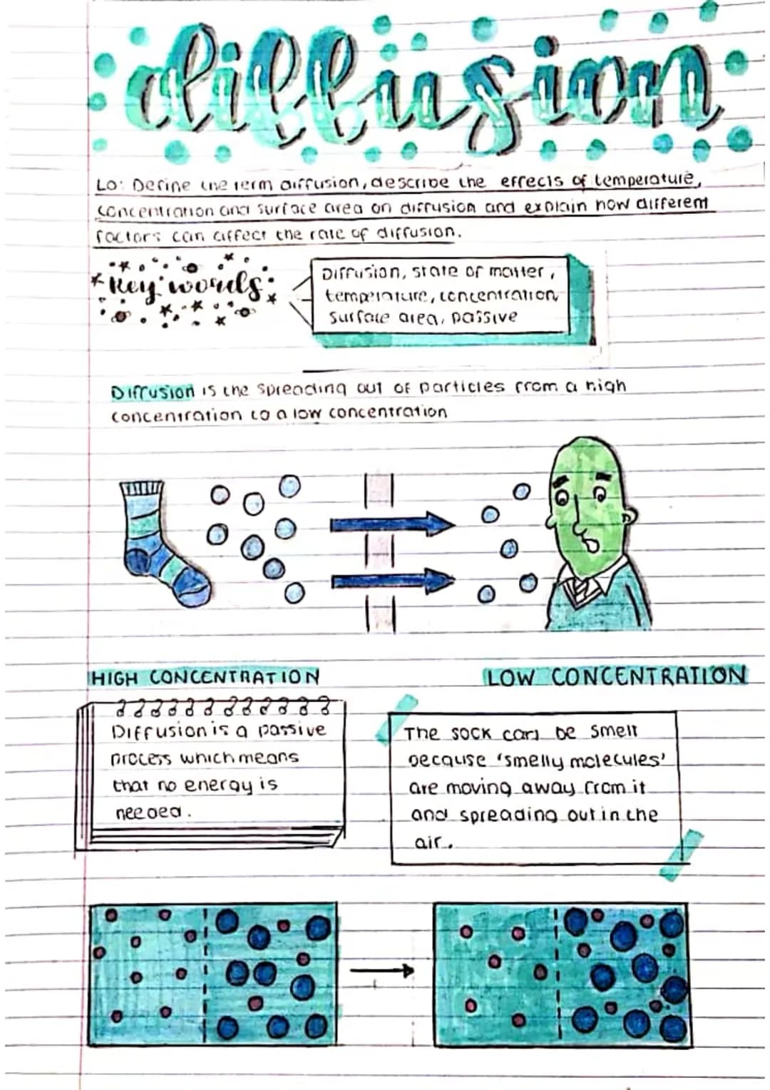 
<p>Diffusion is the process of particles spreading out from an area of high concentration to an area of low concentration. It is a passive 