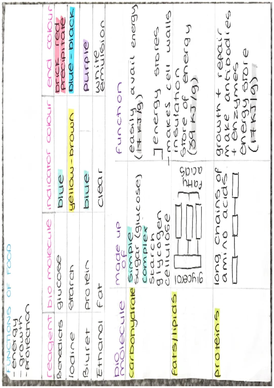 ENZYMES
-proteins
biological catalysts
-speed up
reach ons
optimum
37°C
PH
enzyme
carbonydrasel
ase
amylase
Tipase
protease
Temp
Fats
protei