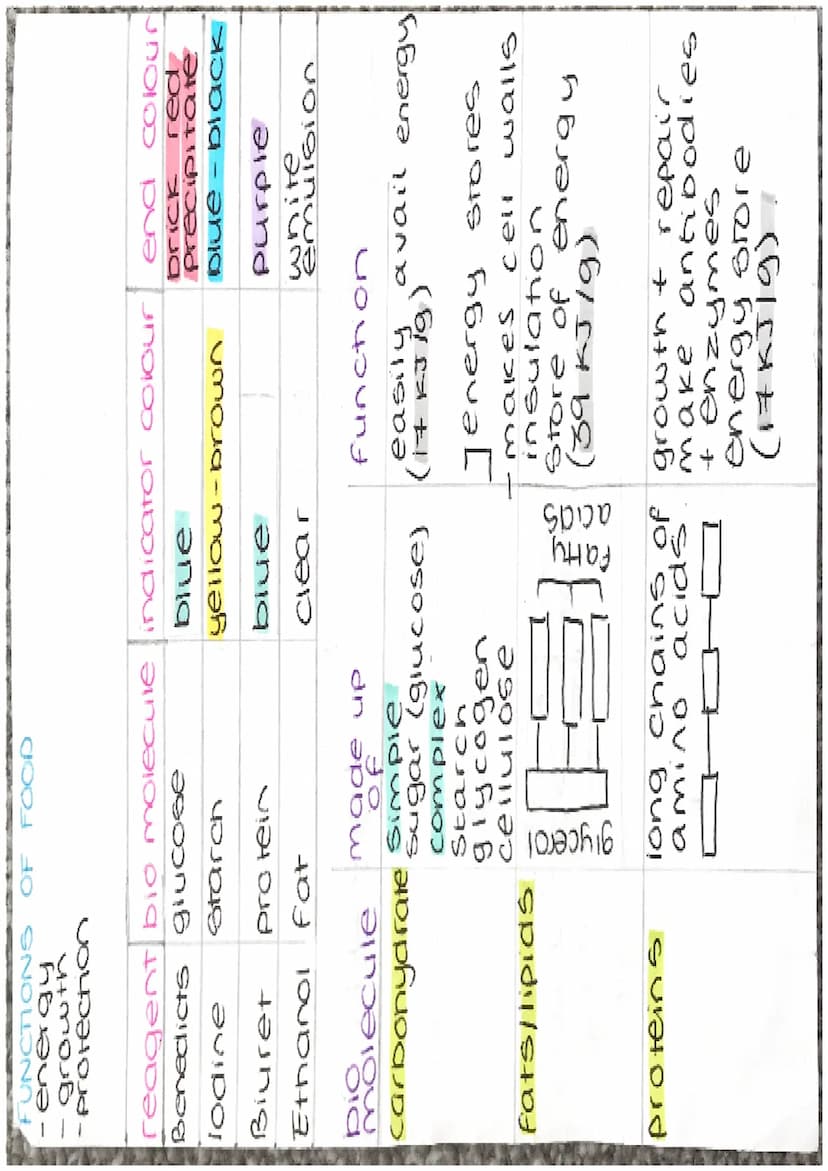 ENZYMES
-proteins
biological catalysts
-speed up
reach ons
optimum
37°C
PH
enzyme
carbonydrasel
ase
amylase
Tipase
protease
Temp
Fats
protei