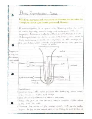 Know Plant reproduction revision notes for EDUQAS A level biology thumbnail