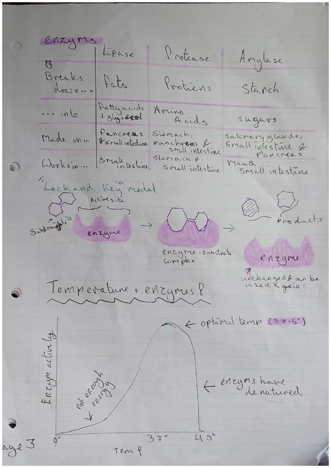 *Paper biologen
Major focus topics =
=
|S/A: Surface Cell Structure
Plant cell
cell wall.
4 Structur
Vacuole
4 Stucture
A hoids conter
Rib s