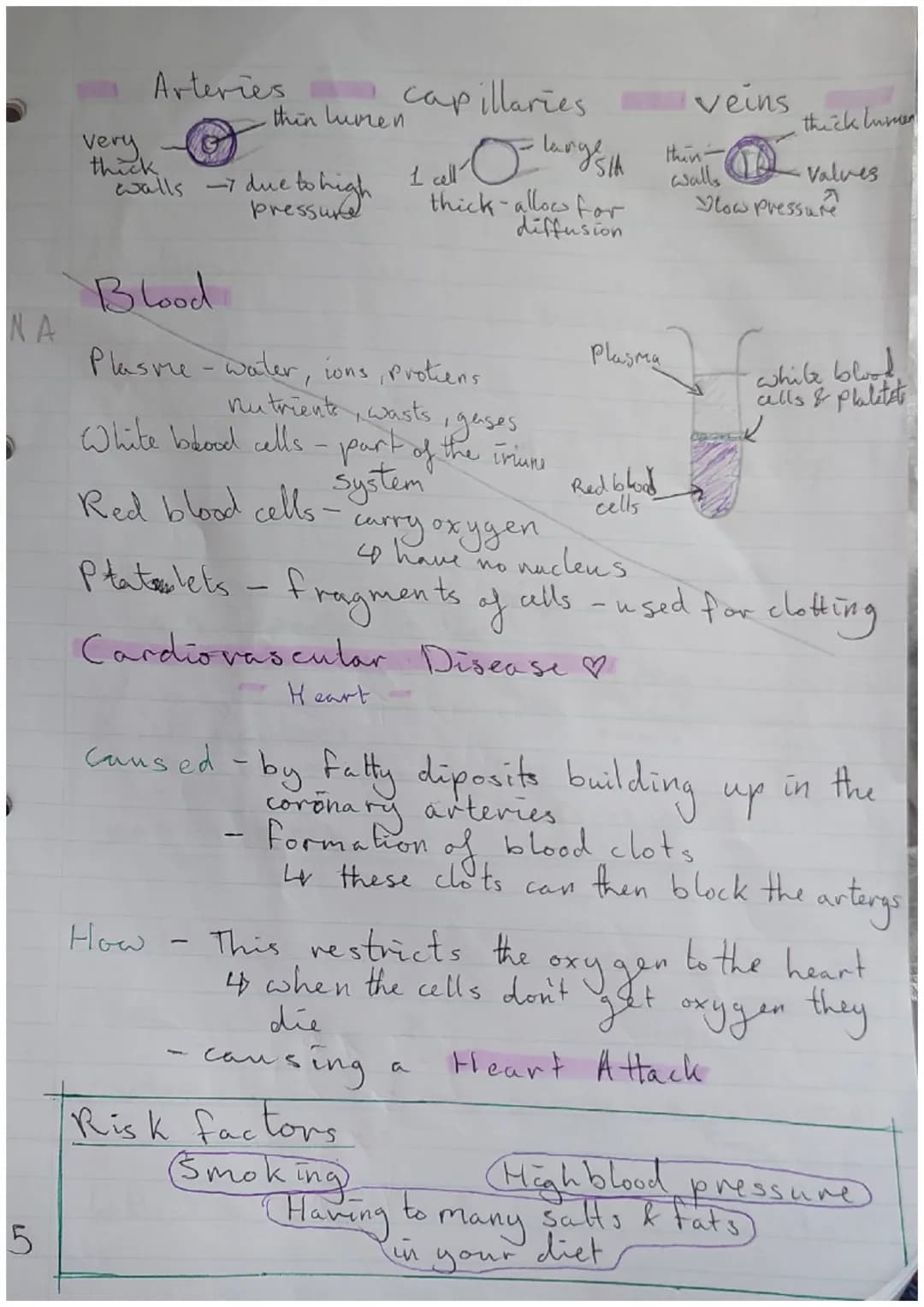 *Paper biologen
Major focus topics =
=
|S/A: Surface Cell Structure
Plant cell
cell wall.
4 Structur
Vacuole
4 Stucture
A hoids conter
Rib s