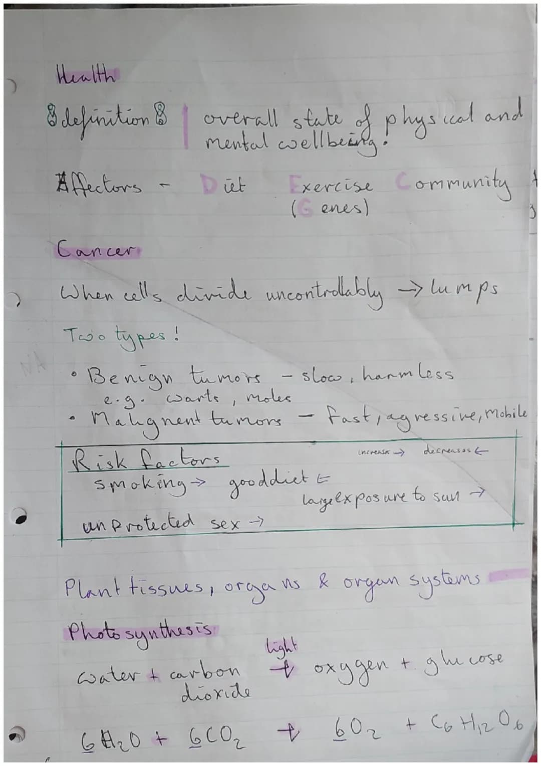 *Paper biologen
Major focus topics =
=
|S/A: Surface Cell Structure
Plant cell
cell wall.
4 Structur
Vacuole
4 Stucture
A hoids conter
Rib s