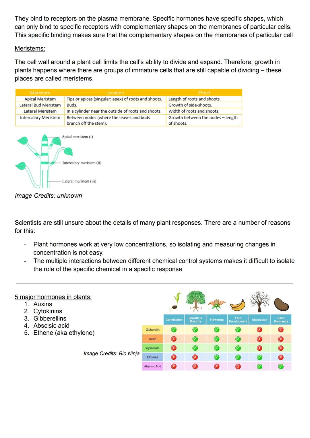 # Plant Hormones:

Tropism - a directional growth response in which the direction of the response is determined by the
direction of the exte
