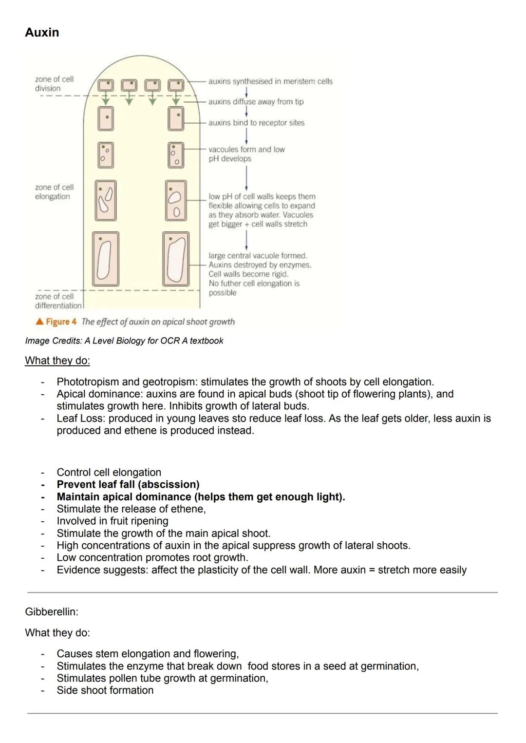 # Plant Hormones:

Tropism - a directional growth response in which the direction of the response is determined by the
direction of the exte