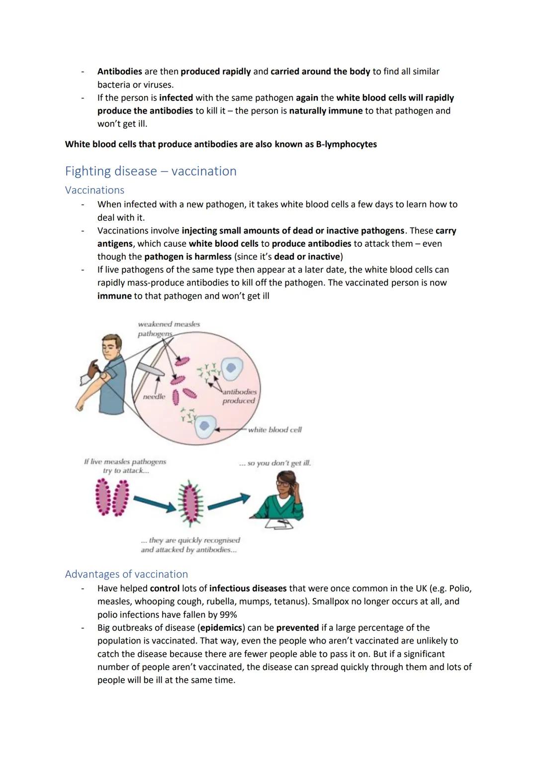 Bacterial diseases and preventing disease
Bacterial diseases
Salmonella food poisoning
Salmonella is a type of bacteria that causes food poi
