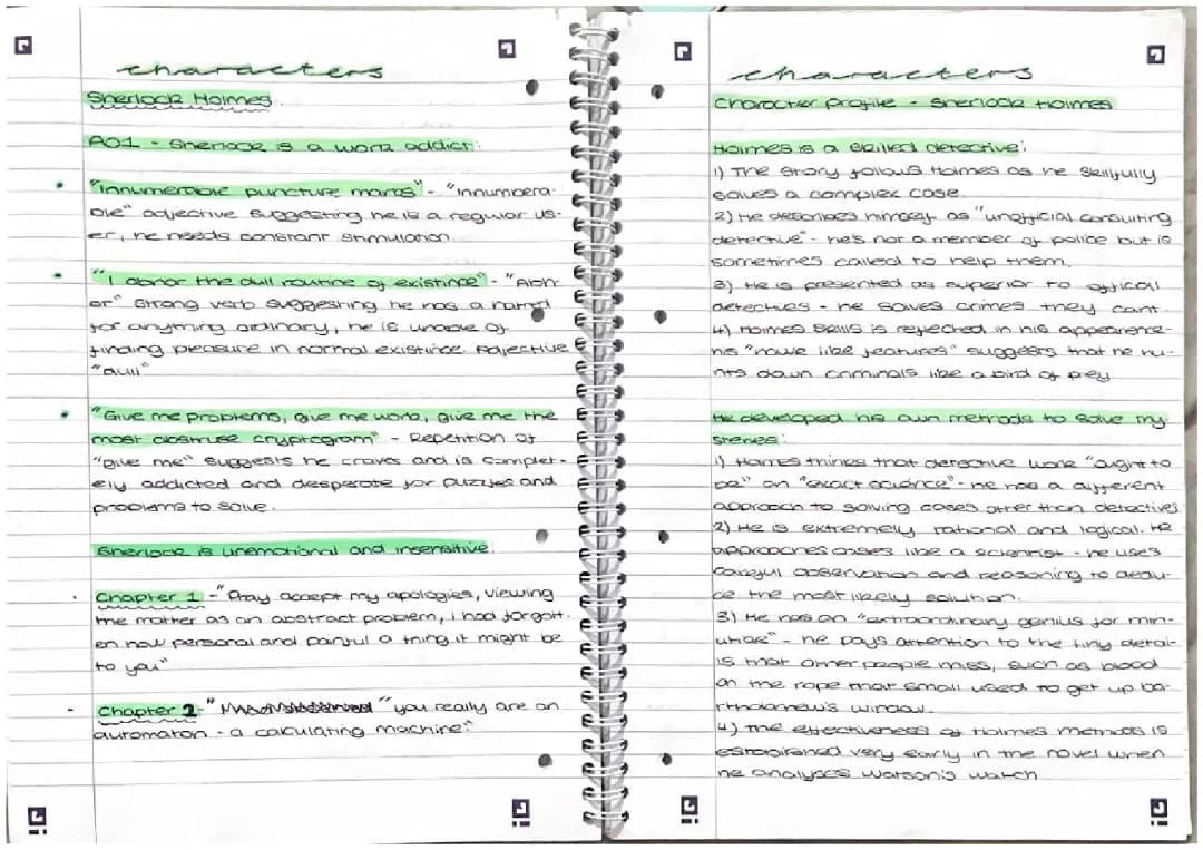 Sherlock Holmes in The Sign of Four - Character Analysis and Chapter Summaries