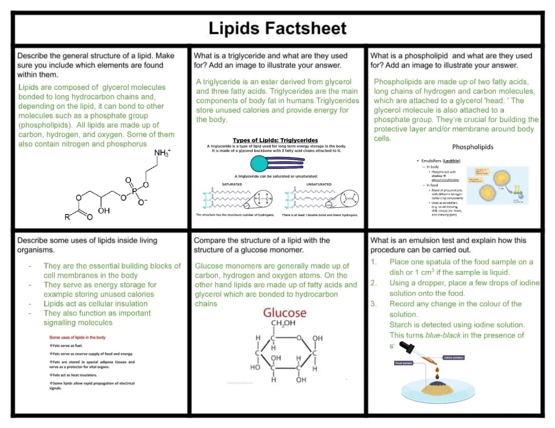 Lipids Factsheet : A-Level Biology