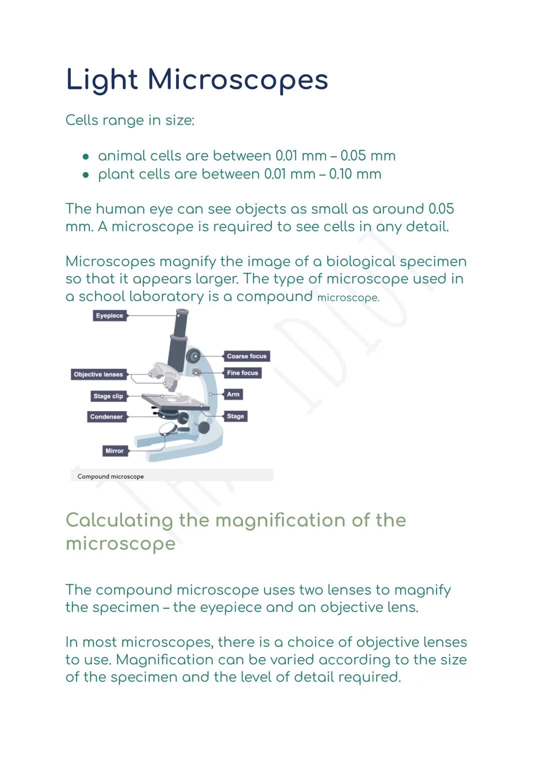 # Light Microscopes

Cells range in size:

*   animal cells are between 0.01 mm - 0.05 mm
*   plant cells are between 0.01 mm - 0.10 mm

The
