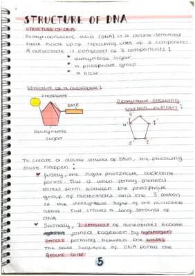 Know Higher Human Bio key area 1.2~ dna structure & replication  thumbnail