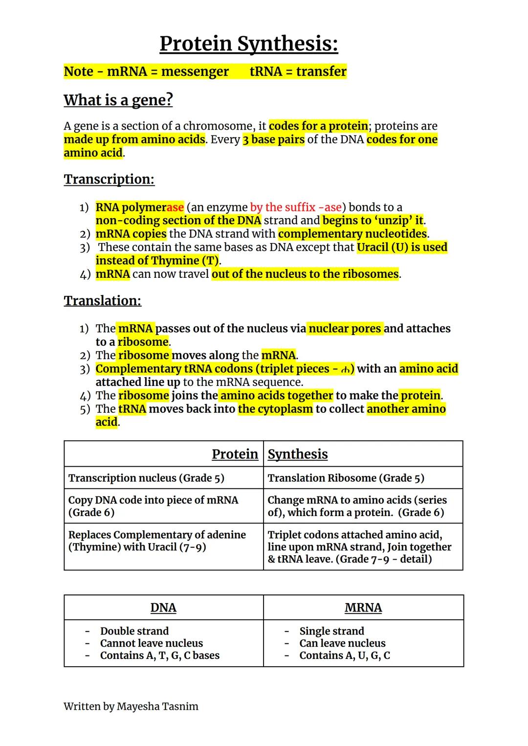 Protein Synthesis:
Note mRNA = messenger tRNA = transfer
What is a gene?
A gene is a section of a chromosome, it codes for a protein; protei