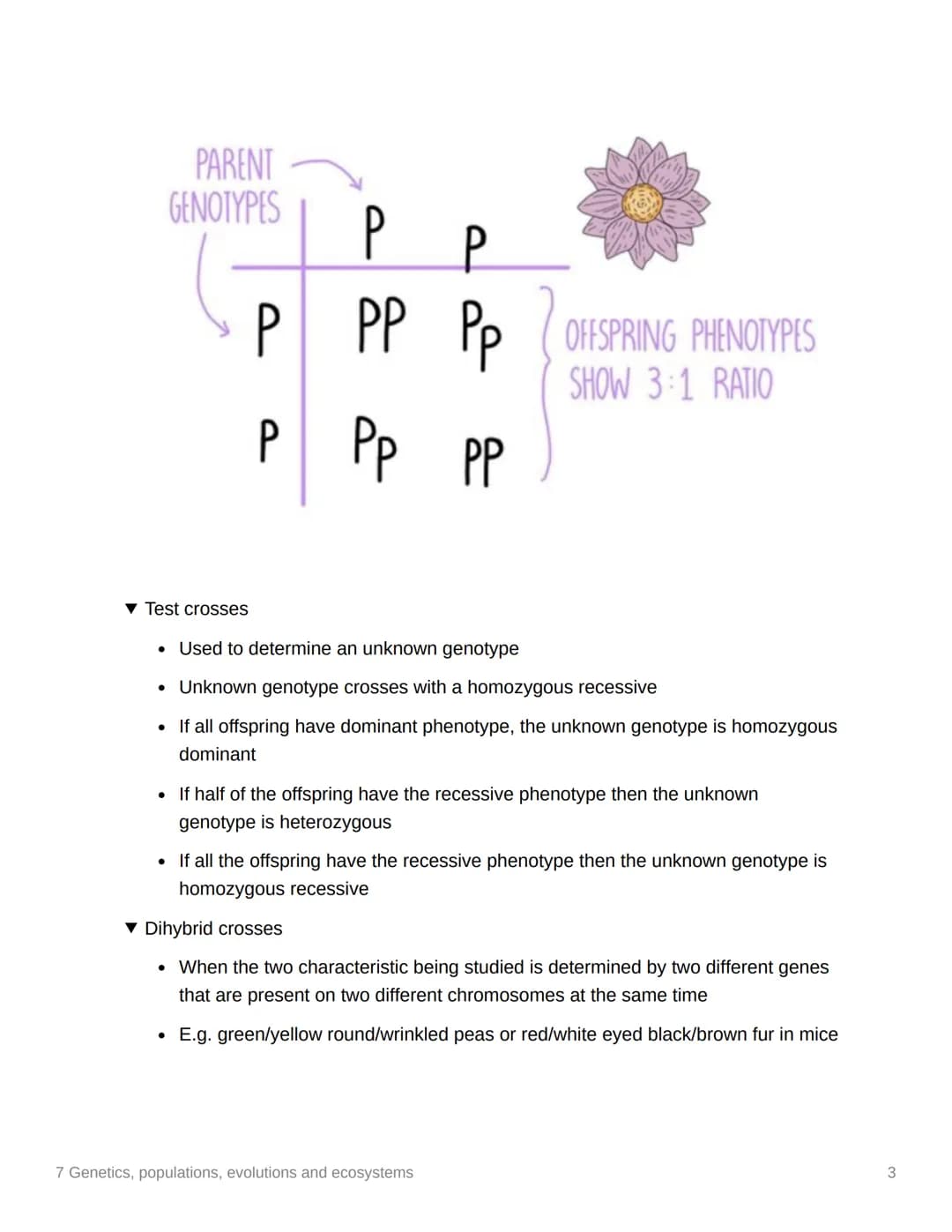 7 Genetics, populations,
evolutions and ecosystems
EAS/A level A level
3.7.1 Inheritance
▼ Genotype
. The genetic constitution of an organis
