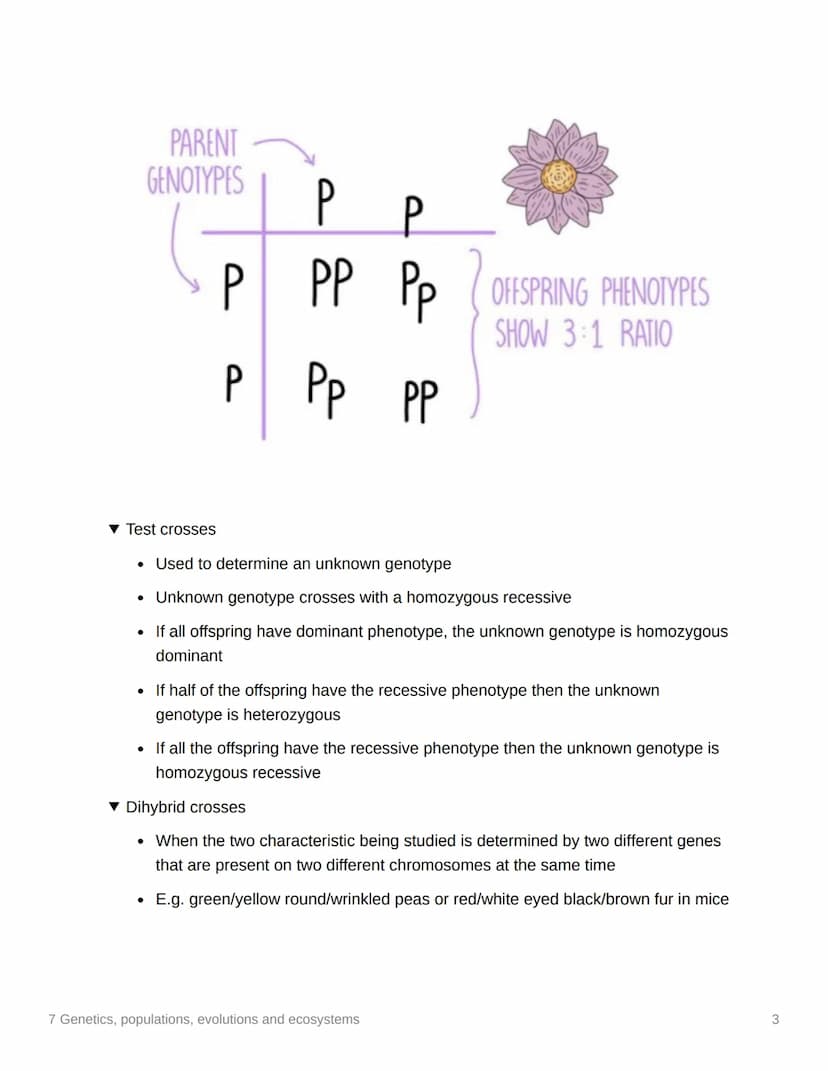 7 Genetics, populations,
evolutions and ecosystems
EAS/A level A level
3.7.1 Inheritance
▼ Genotype
. The genetic constitution of an organis