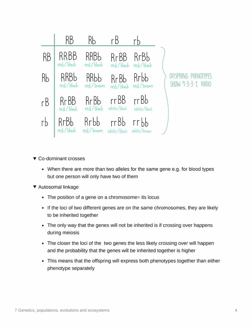 7 Genetics, populations,
evolutions and ecosystems
EAS/A level A level
3.7.1 Inheritance
▼ Genotype
. The genetic constitution of an organis