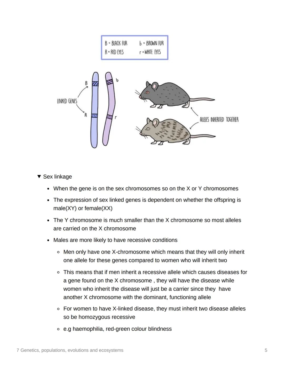 7 Genetics, populations,
evolutions and ecosystems
EAS/A level A level
3.7.1 Inheritance
▼ Genotype
. The genetic constitution of an organis