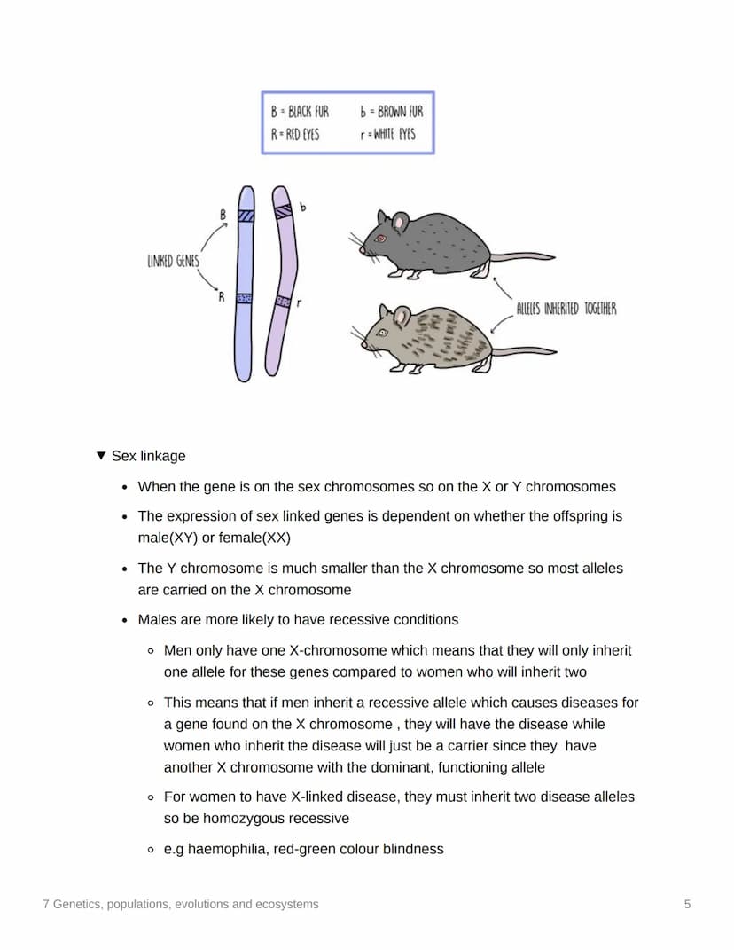7 Genetics, populations,
evolutions and ecosystems
EAS/A level A level
3.7.1 Inheritance
▼ Genotype
. The genetic constitution of an organis
