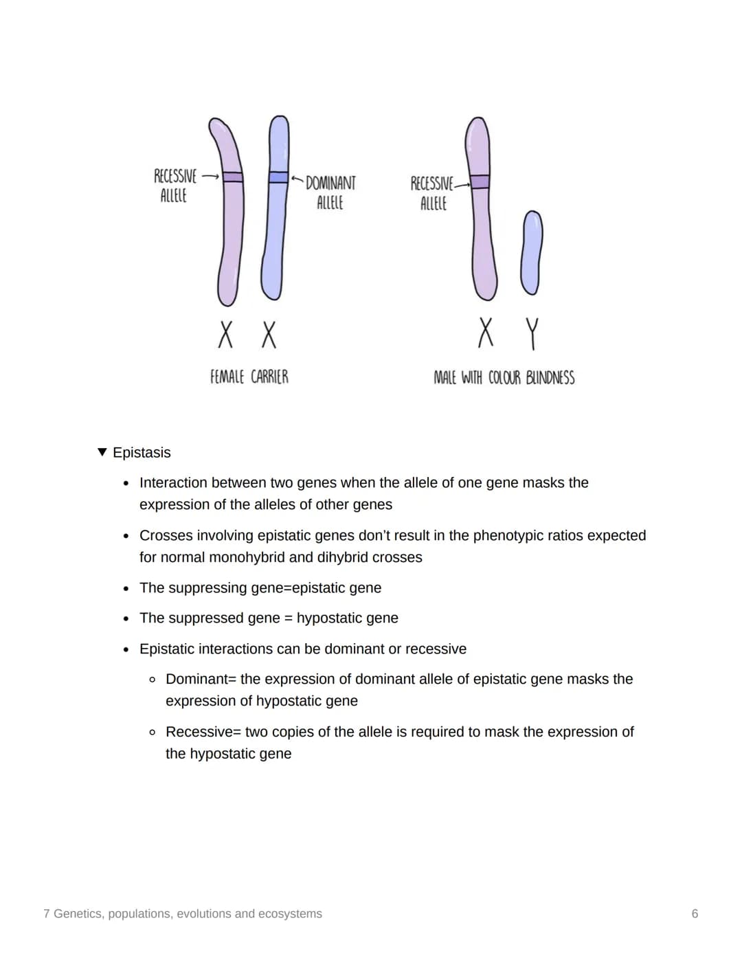 7 Genetics, populations,
evolutions and ecosystems
EAS/A level A level
3.7.1 Inheritance
▼ Genotype
. The genetic constitution of an organis