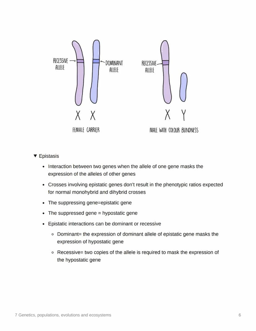 7 Genetics, populations,
evolutions and ecosystems
EAS/A level A level
3.7.1 Inheritance
▼ Genotype
. The genetic constitution of an organis