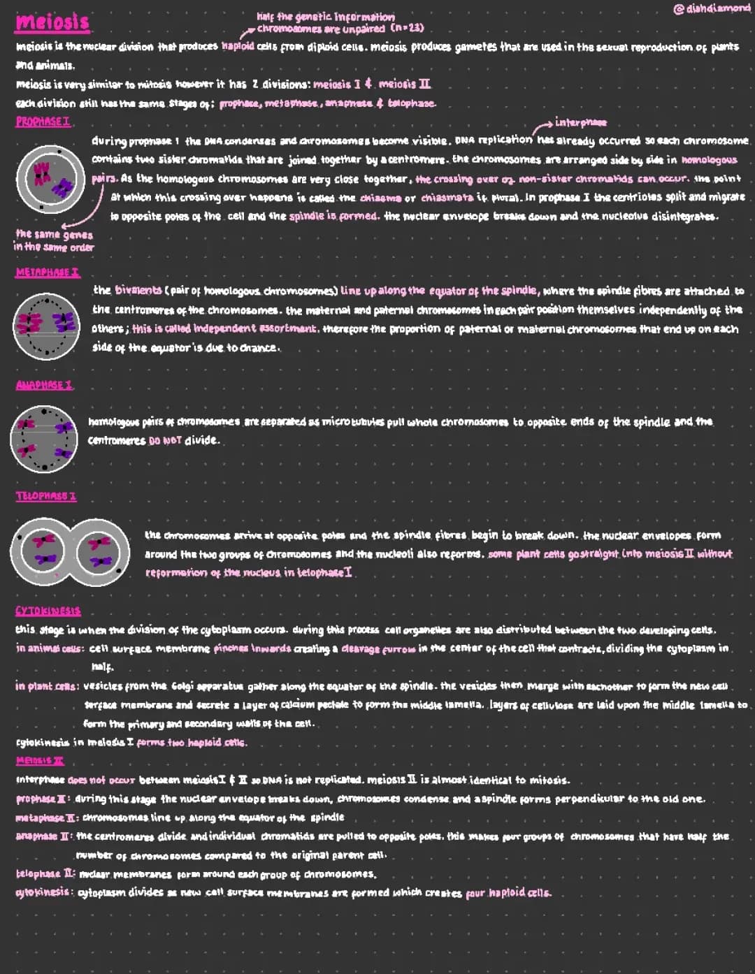 Meiosis summary notes