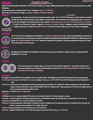 Know Meiosis summary notes thumbnail