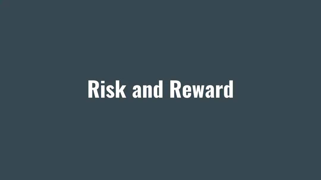 Business Risk and Reward