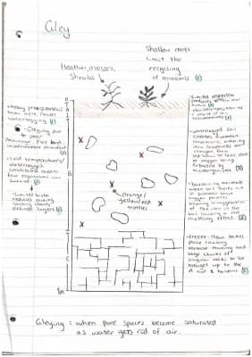 Know Biosphere FULL topic notes  thumbnail