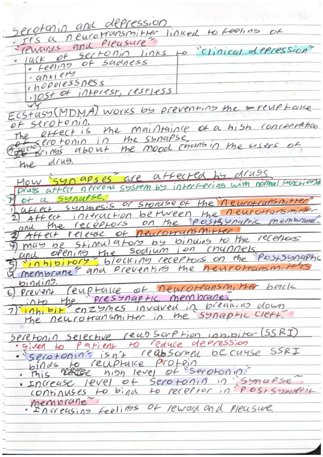 Plant cell: Specialised cell

Palisade cell
- Kylindrical shaped
- Packed Fightly in the upper part of a leaf.
- Contain many chloroplast to