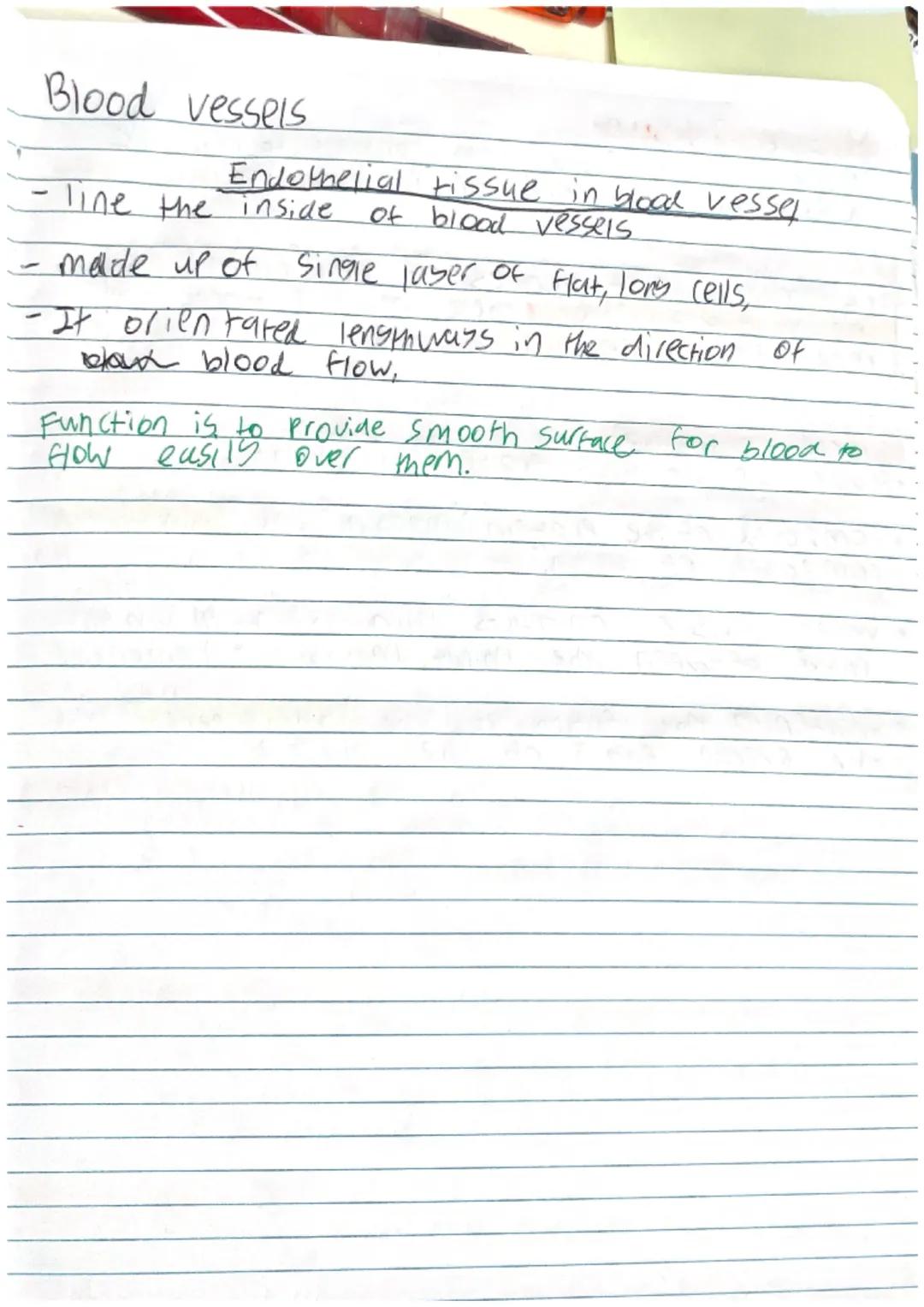 Plant cell: Specialised cell

Palisade cell
- Kylindrical shaped
- Packed Fightly in the upper part of a leaf.
- Contain many chloroplast to