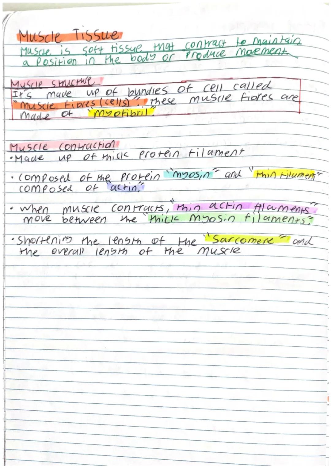 Plant cell: Specialised cell

Palisade cell
- Kylindrical shaped
- Packed Fightly in the upper part of a leaf.
- Contain many chloroplast to