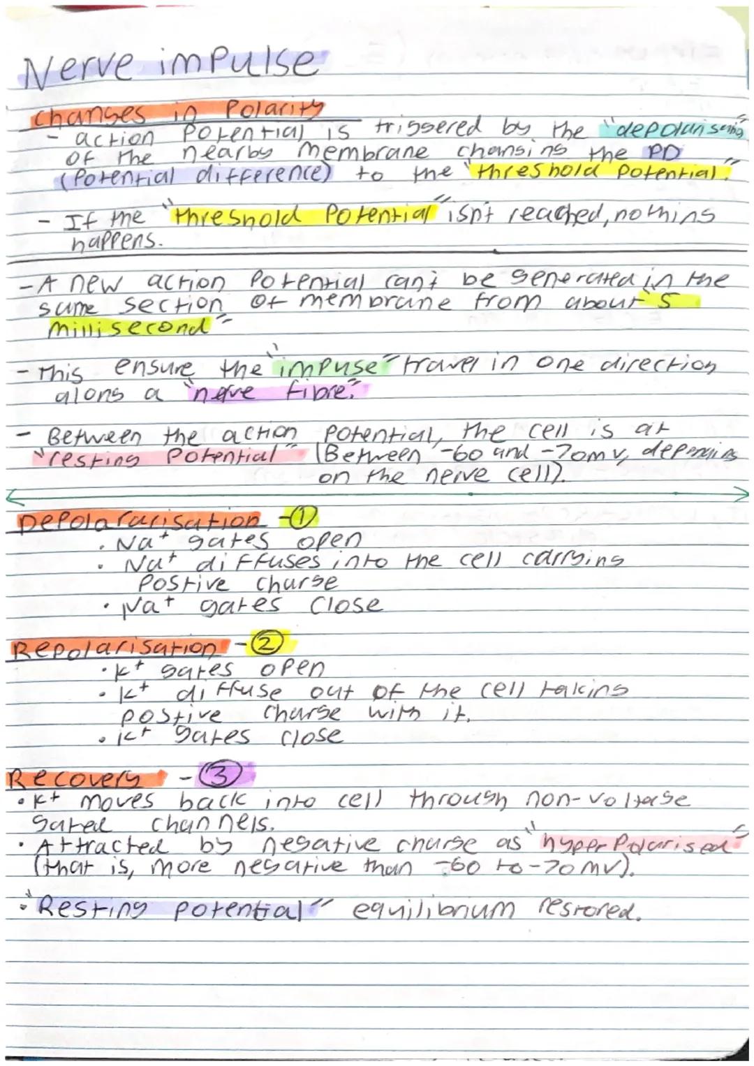 Plant cell: Specialised cell

Palisade cell
- Kylindrical shaped
- Packed Fightly in the upper part of a leaf.
- Contain many chloroplast to
