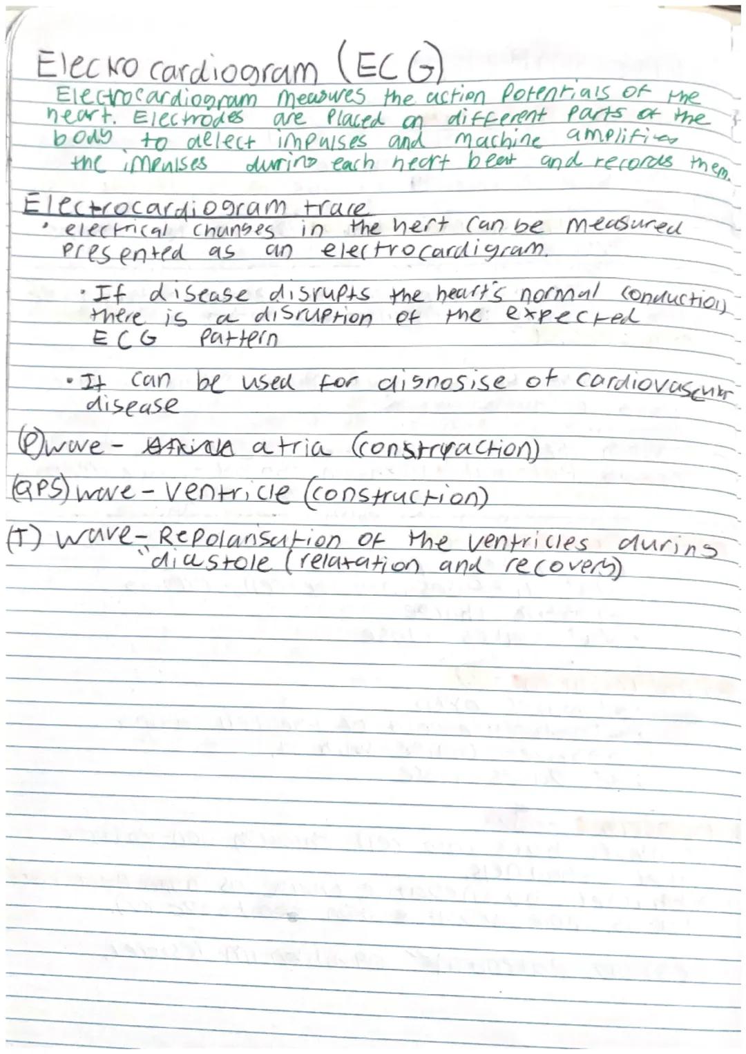 Plant cell: Specialised cell

Palisade cell
- Kylindrical shaped
- Packed Fightly in the upper part of a leaf.
- Contain many chloroplast to