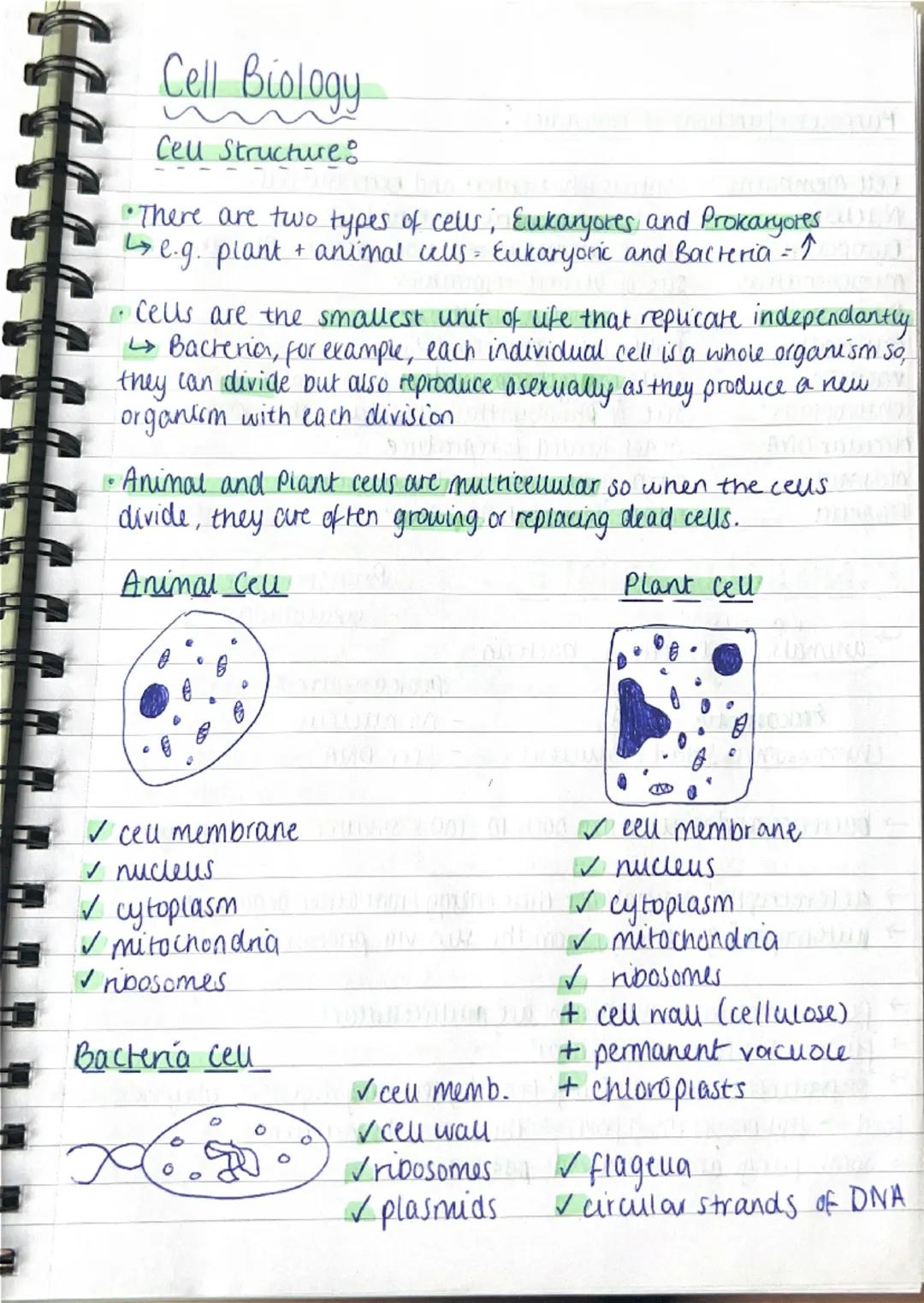 paper one biology notes 