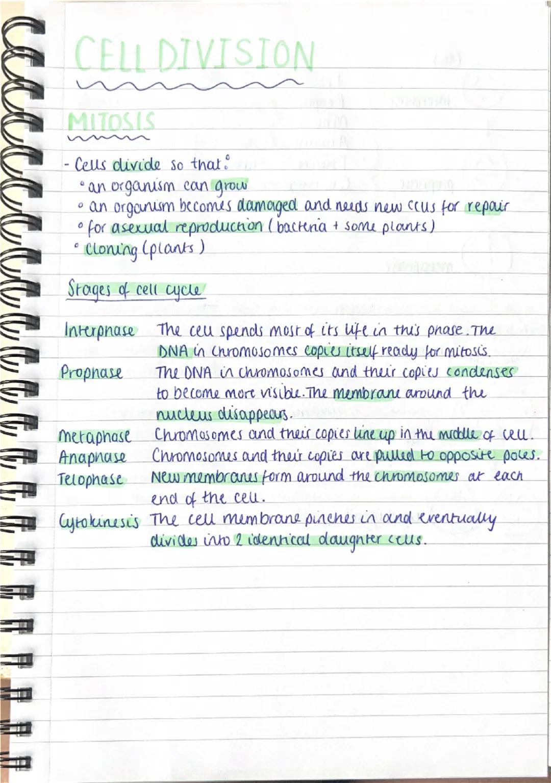 Cell Biology
Cell Structure:
•There are two types of cells; Eukaryotes and Prokaryores
e.g. plant + animal cells = Eukaryotic and Bacteria =