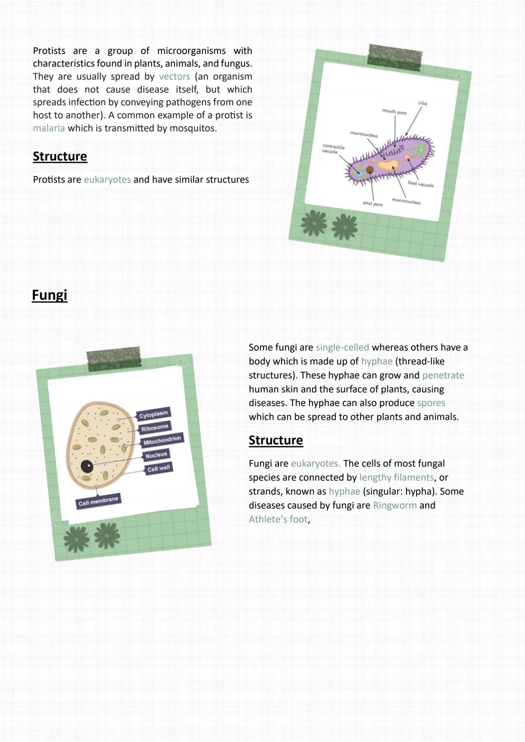 PATHOGENS
Pathogens are micro-organisms that enter the body and cause disease. They are
communicable diseases.
There are different types of 