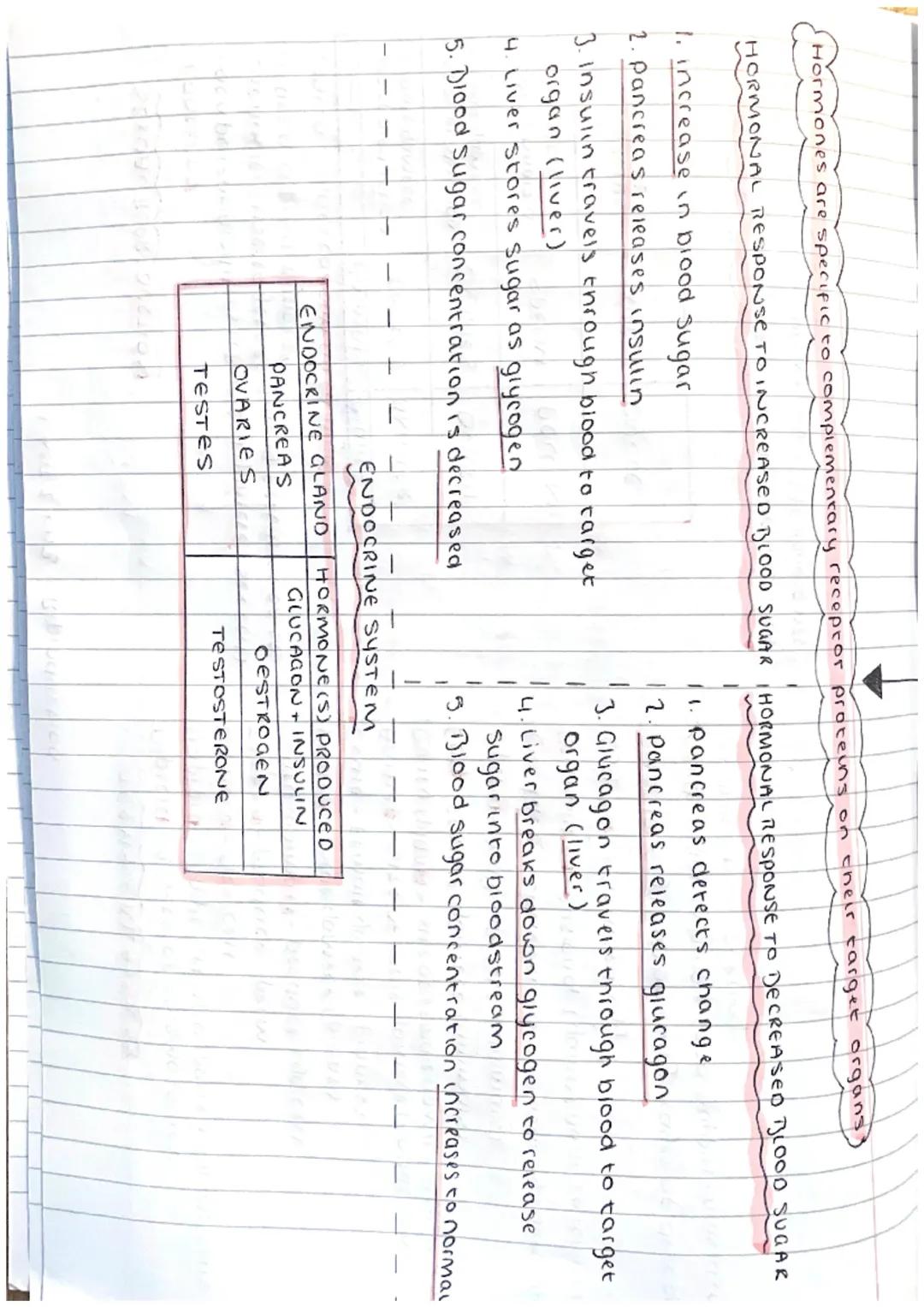 UNITZ KAI - Producing new cells

Mitosis provides new cells for growen and repair of damaged cells

Mitosis+ Cell division stages

Stem cell