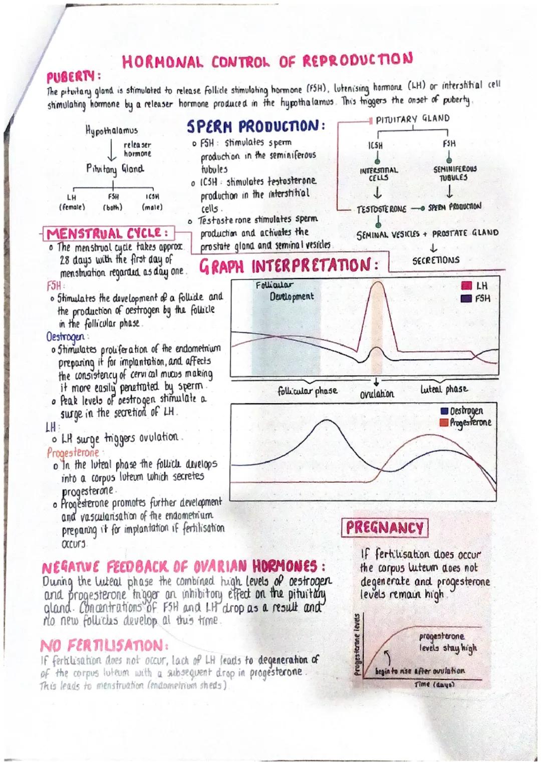 GAMETE PRODUCTION + FERTILISATION

GAMETE
A gamete is a sex cell produced by meiosis of germline otem cells. The male sex cell is sperm and 