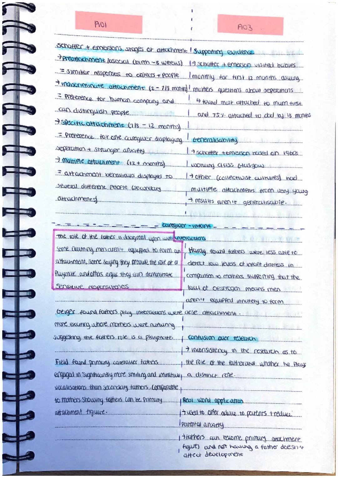 A03
Supporting evidence...
Smelt zett and more found botanics.
(2-3 weeks old) mimic achilles ACCICU.
expressions./housel movements.
Attachm