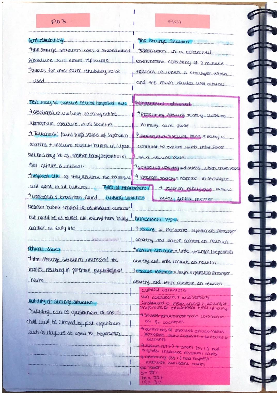 A03
Supporting evidence...
Smelt zett and more found botanics.
(2-3 weeks old) mimic achilles ACCICU.
expressions./housel movements.
Attachm