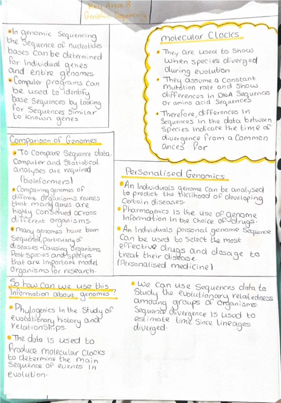 Nudeotide
•Basic units that make UP DNA
Phosphate
Deoxyribose
Sugar
Prokaryotes
-Bacteria Cells
-Archaea
base
•No nucleus-Chromosomal
DINA f