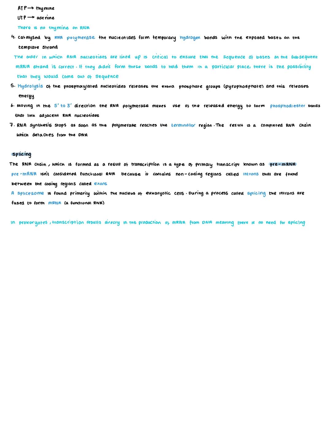 # Transcription

DNA
→RNA
Proteins

nucleus too big ribosomes in cytoplasm

As transcription can only occur in the 5'3' direction, the templ