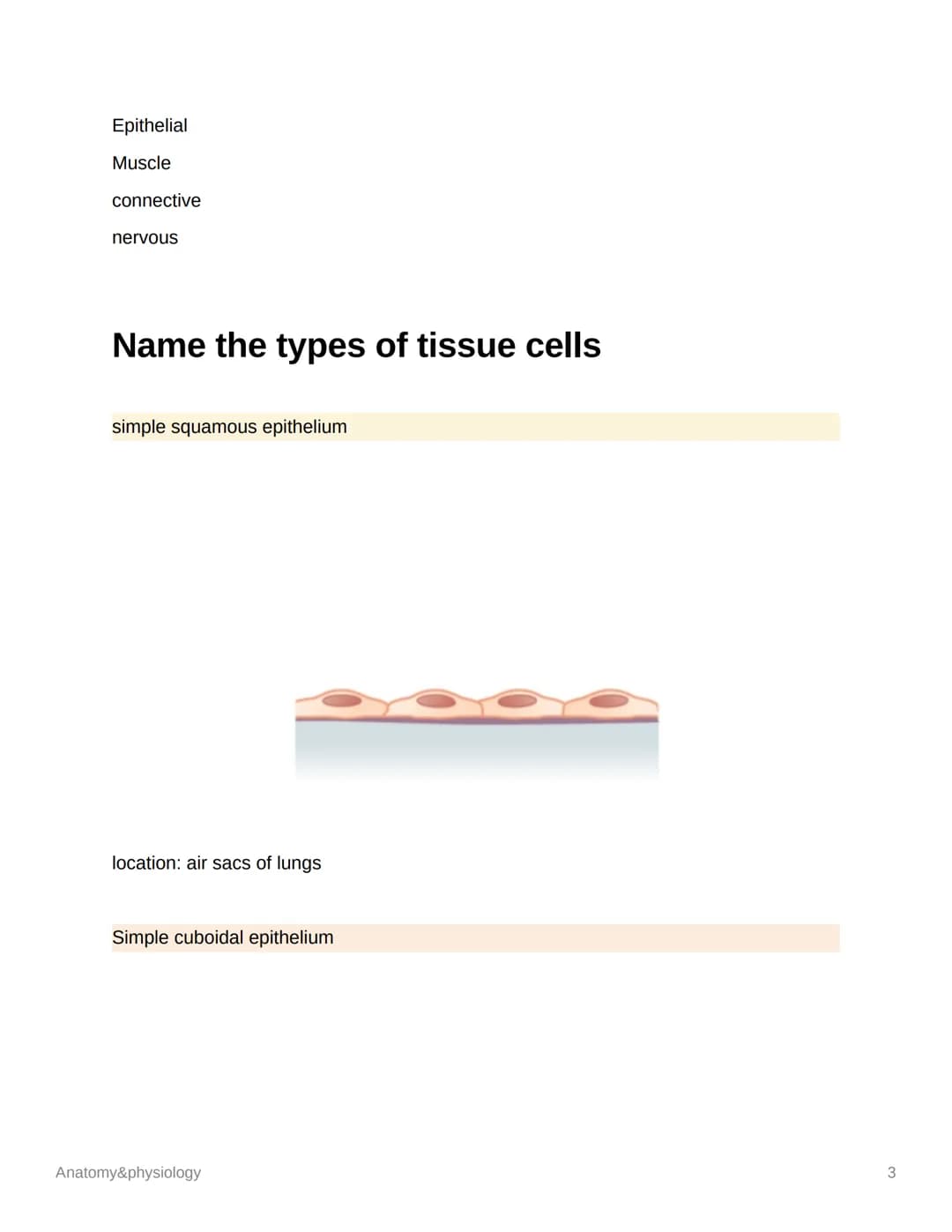 Anatomy&physiology
Cells
DNA
cell membrane
cytoplasm
Anatomy&physiology
mitochondrion
nucleus
M
DNA
endoplasmatic
reticulum
lysosome
ribosom