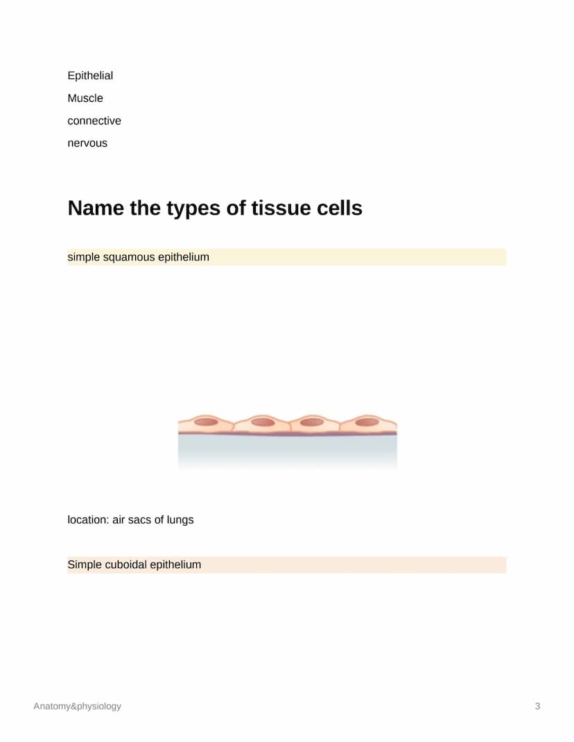 Anatomy&physiology
Cells
DNA
cell membrane
cytoplasm
Anatomy&physiology
mitochondrion
nucleus
M
DNA
endoplasmatic
reticulum
lysosome
ribosom