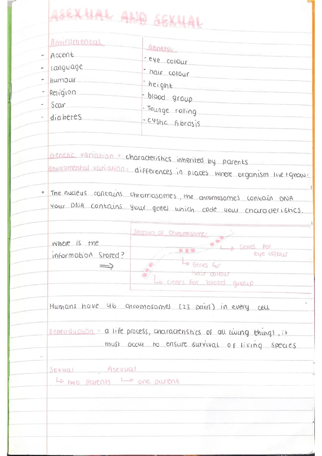 aqa biology paper 2 - asexual and sexual reproduction 