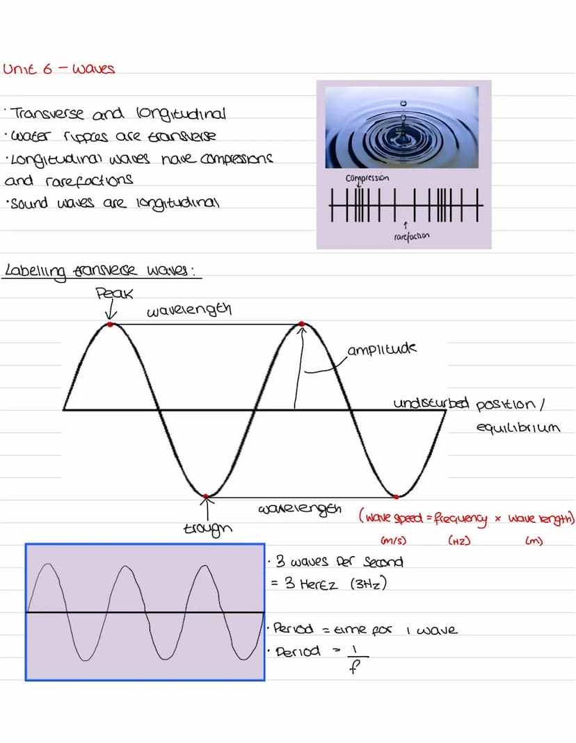 Unit 7 - magnetism
The motor effect
conductor carrying a current + magnetic
field = force
Predict direction using flemmings left hand
ruce
T