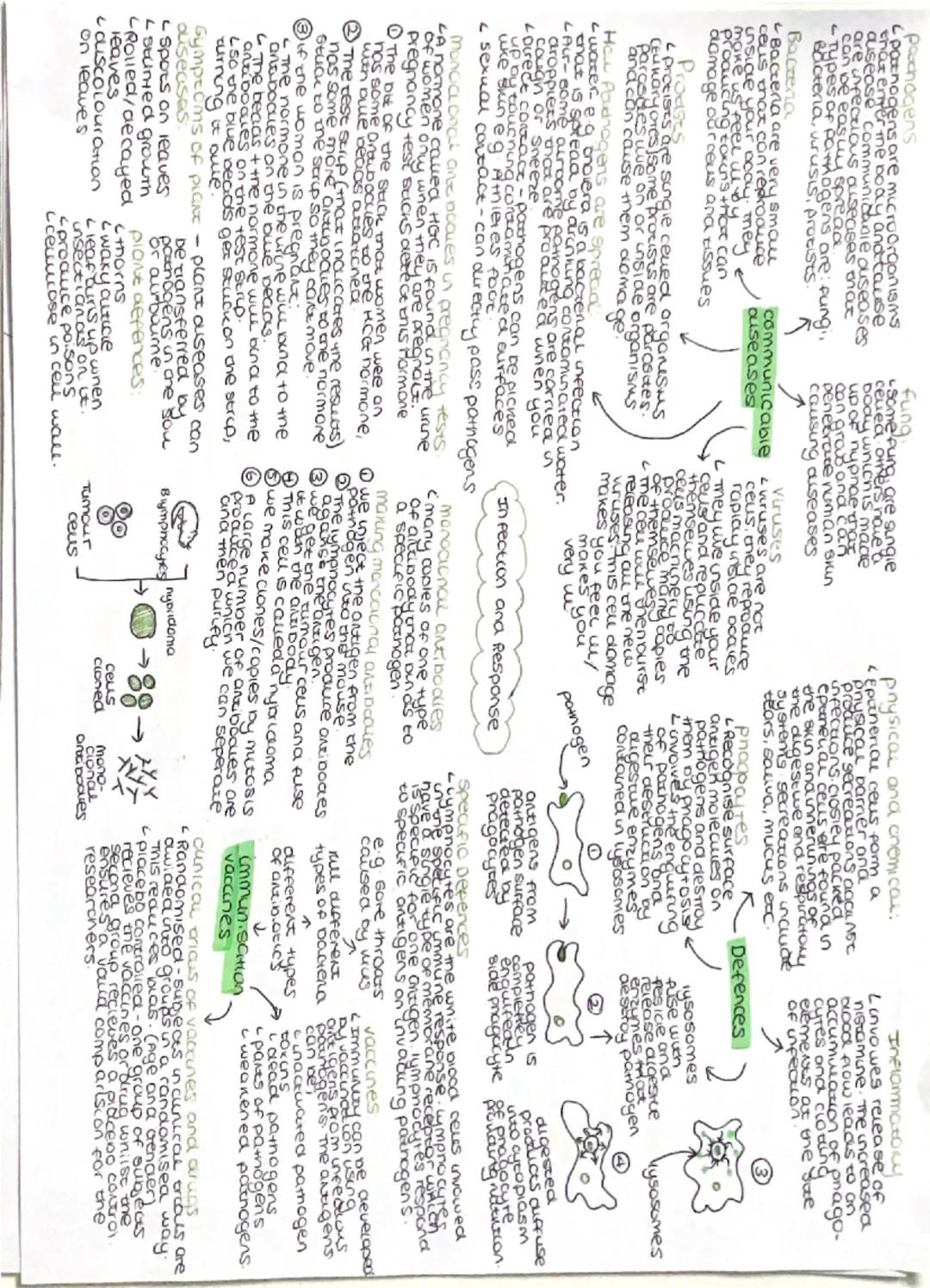 pachogens
pornogens are microorganisms
that enter the body anatause
ausease communicasie ouseases
are infectious ouseases oncut
can be easil